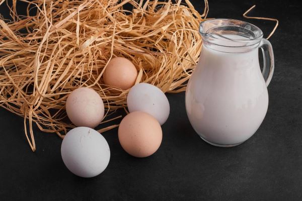 Вологодская область на втором месте в СЗФО по объемам реализации молока и яиц