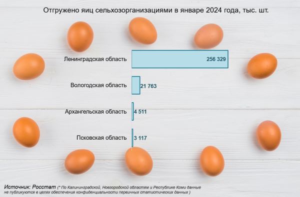 Вологодская область на втором месте в СЗФО по объемам реализации молока и яиц