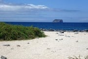 Стоимость въезда на Галапагосские острова увеличилась в 2 раза