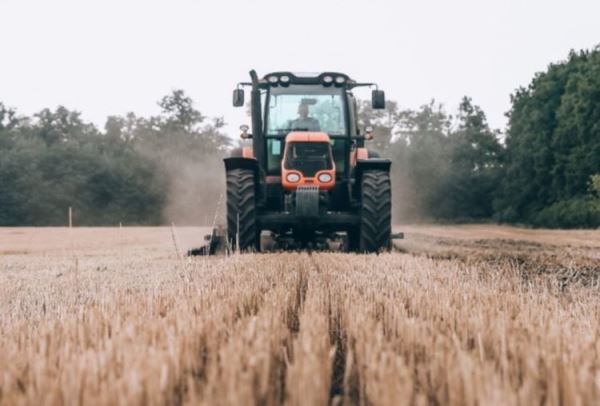 Ученые из Ставропольского ГАУ протестировали созданное торфяное удобрение на озимой пшенице
