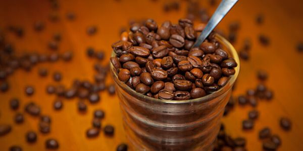 Ученые превратили кофейную гущу в абсорбент для ядохимикатов