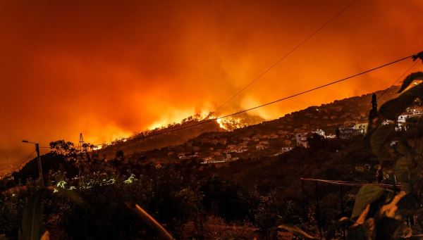 МЧС: За неделю в 4 регионах вспыхнули 19 природных пожаров - новости экологии на ECOportal