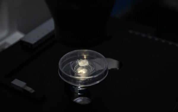 Ученые СКФУ создали новую технологию для улучшения качества шелка при помощи наночастиц