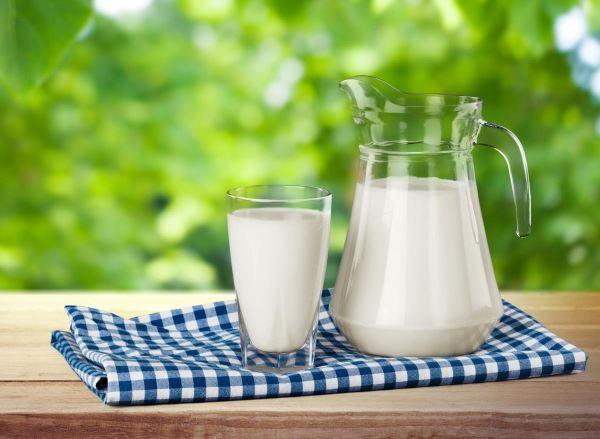 В 2024 году мировое потребление молока может увеличиться — эксперты