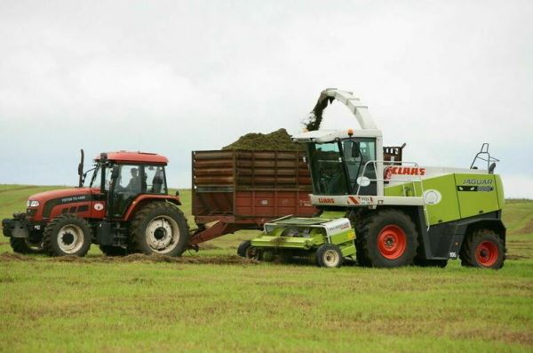 Фермеров будут штрафовать за неправильные хранение и перевозку навоза - новости экологии на ECOportal