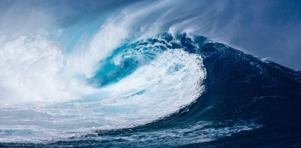 Океан продолжает нагреваться - новости экологии на ECOportal