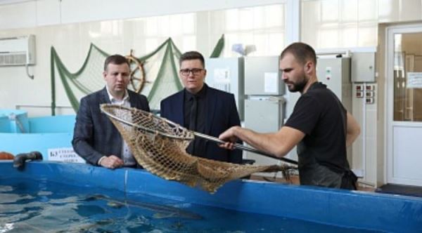 Передовые технологии аквакультуры внедряют в Волгоградской области