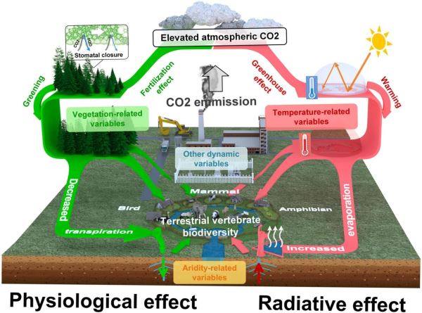 Выбросы CO2 могут повысить биоразнообразие - новости экологии на ECOportal